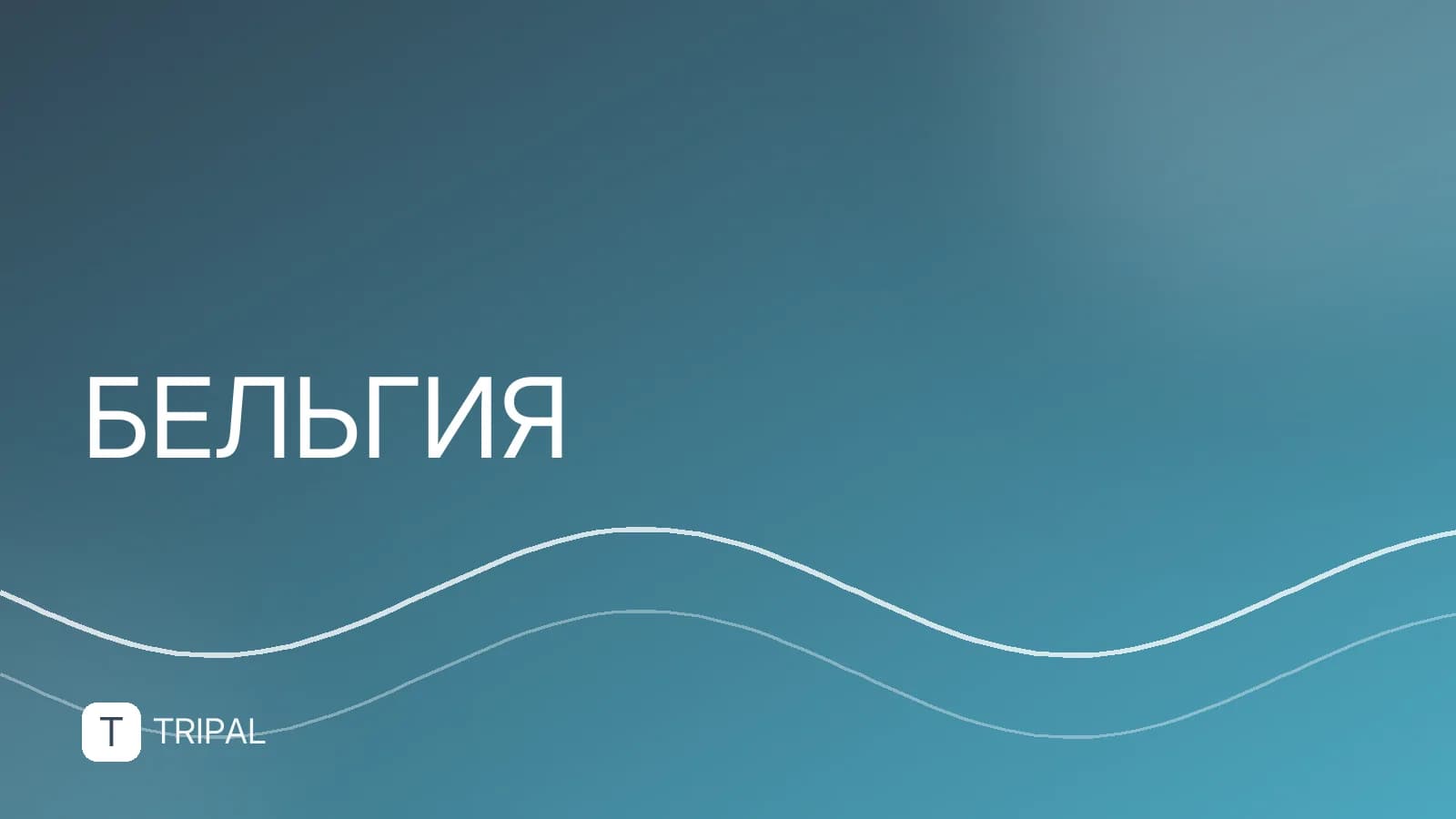 Бельгийские вафли: виды, отличия и где попробовать
