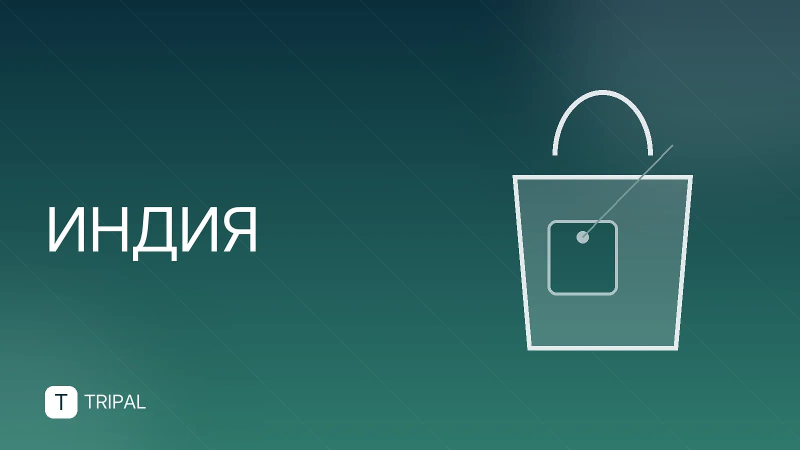 Бизнес-виза в Индию для россиян: условия и оформление