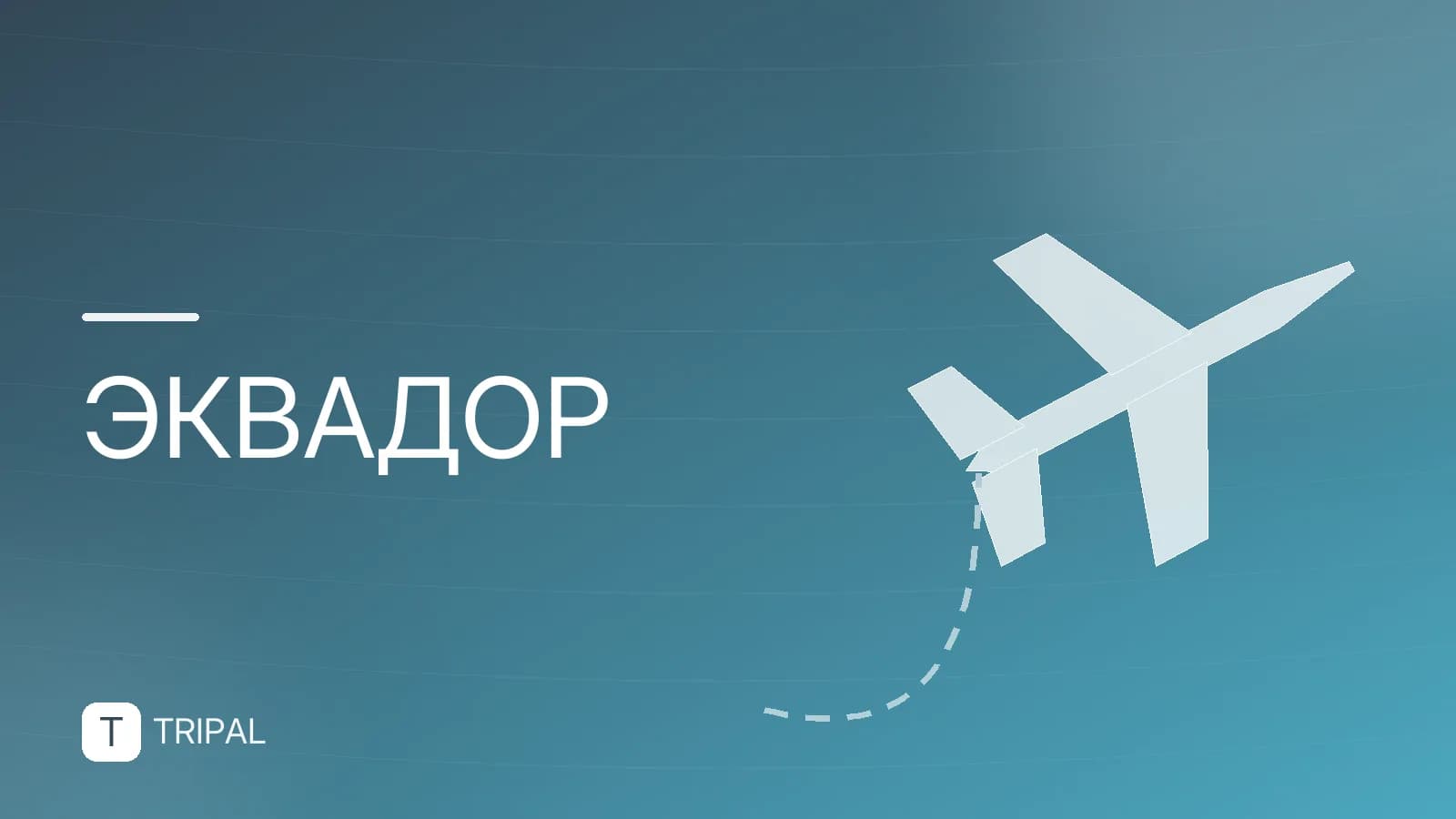 Фрукты Эквадора: какие попробовать и где купить