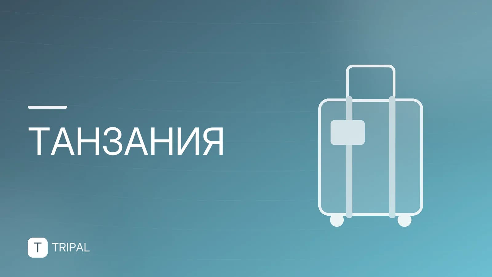 Где купить украшения на Занзибаре: магазины и рынки