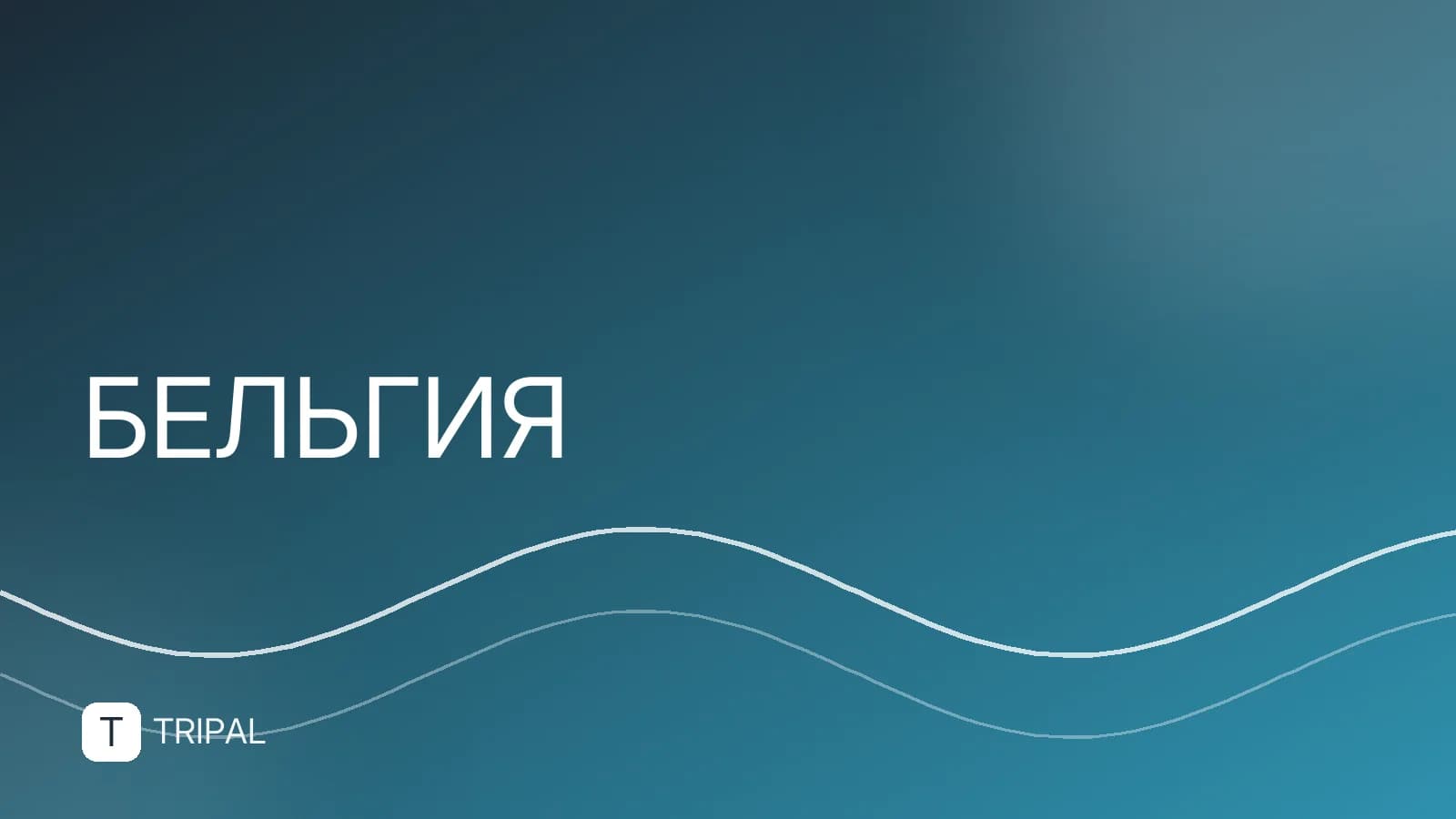 Где находится Бельгия на карте Европы