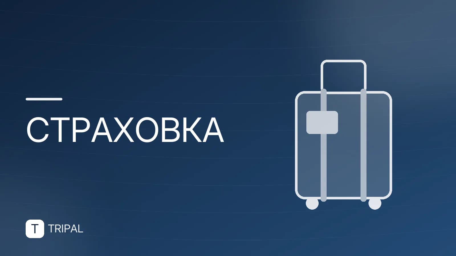 Годовая страховка: как купить и что выбрать