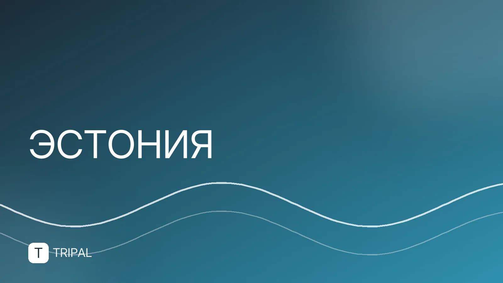 Государственный язык Эстонии: эстонский и русский