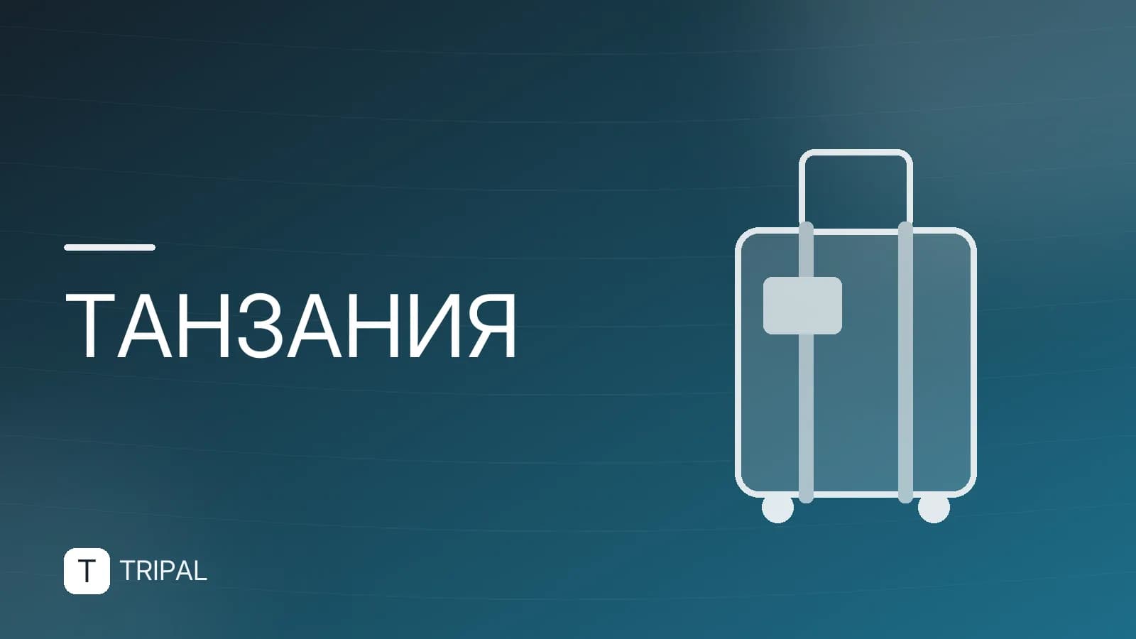Как добраться до Занзибара: маршруты и пересадки