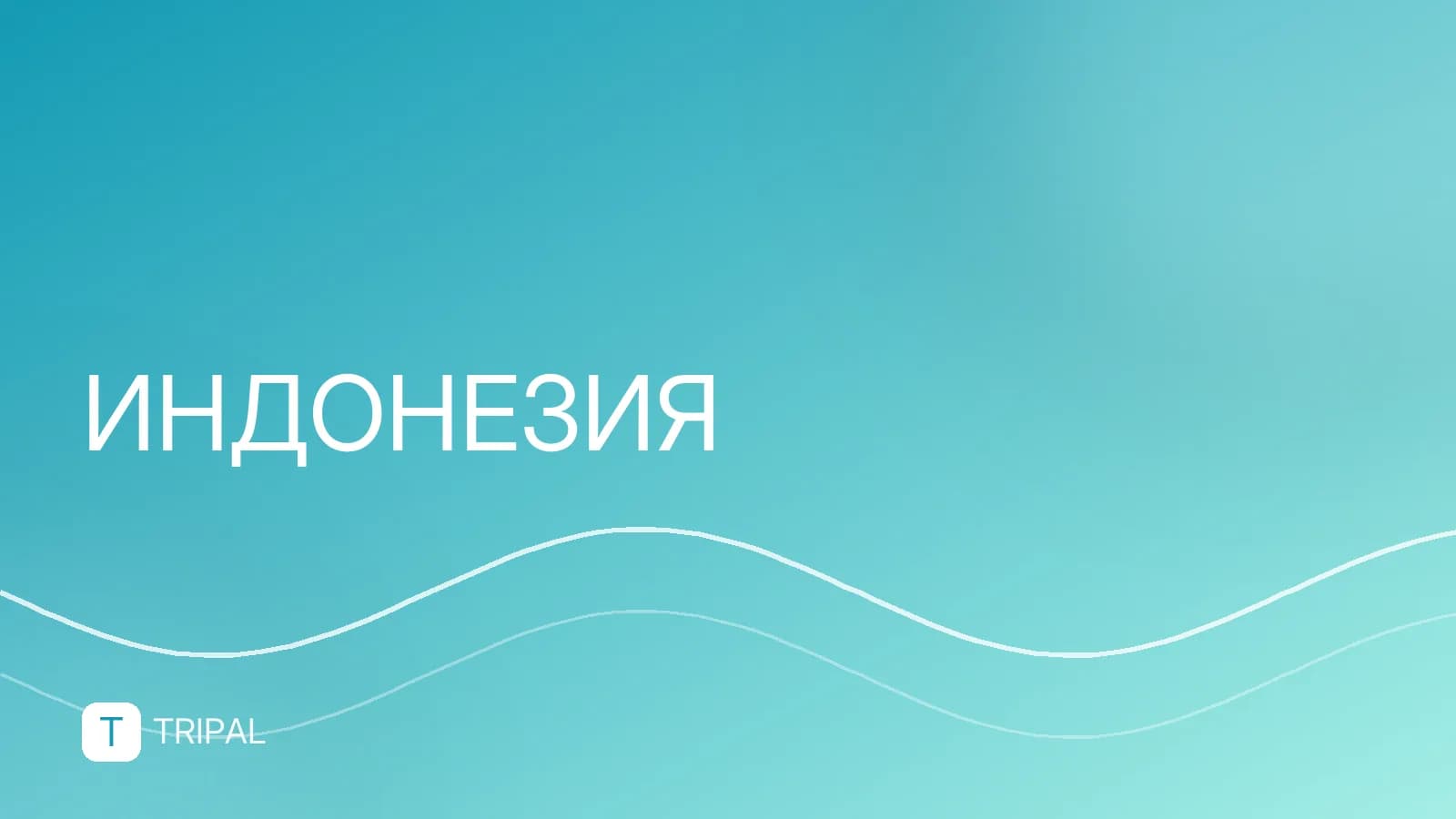 Как купить билет на самолет на Бали: инструкция