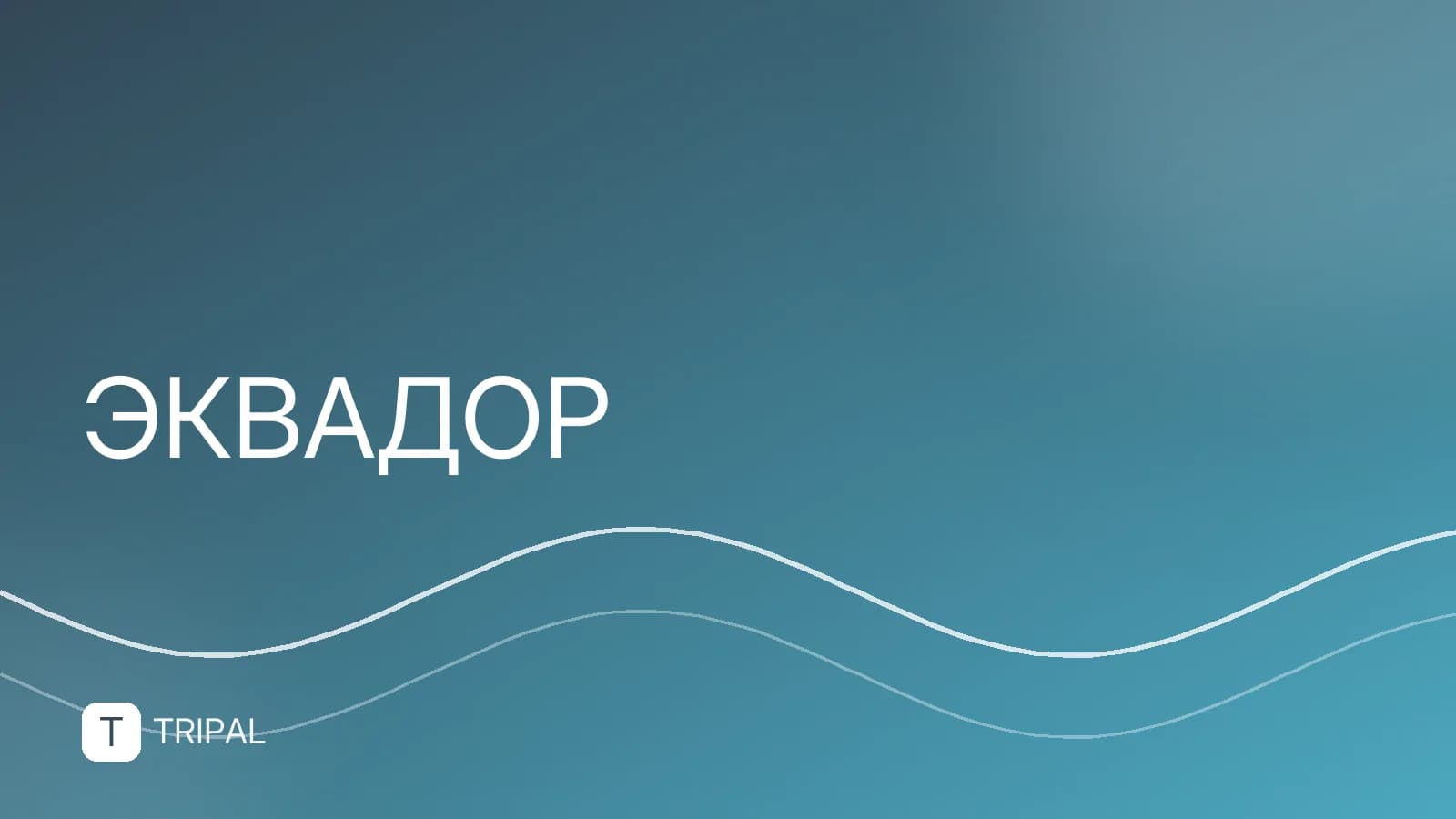 Как получить гражданство Эквадора: условия и сроки