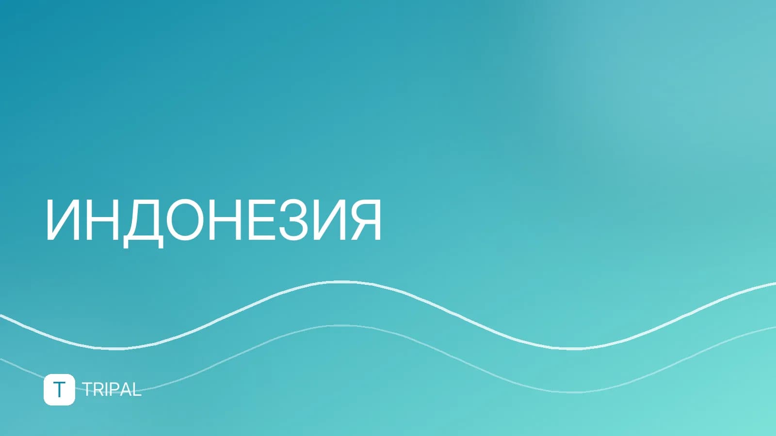 Какое море в Индонезии: список и особенности