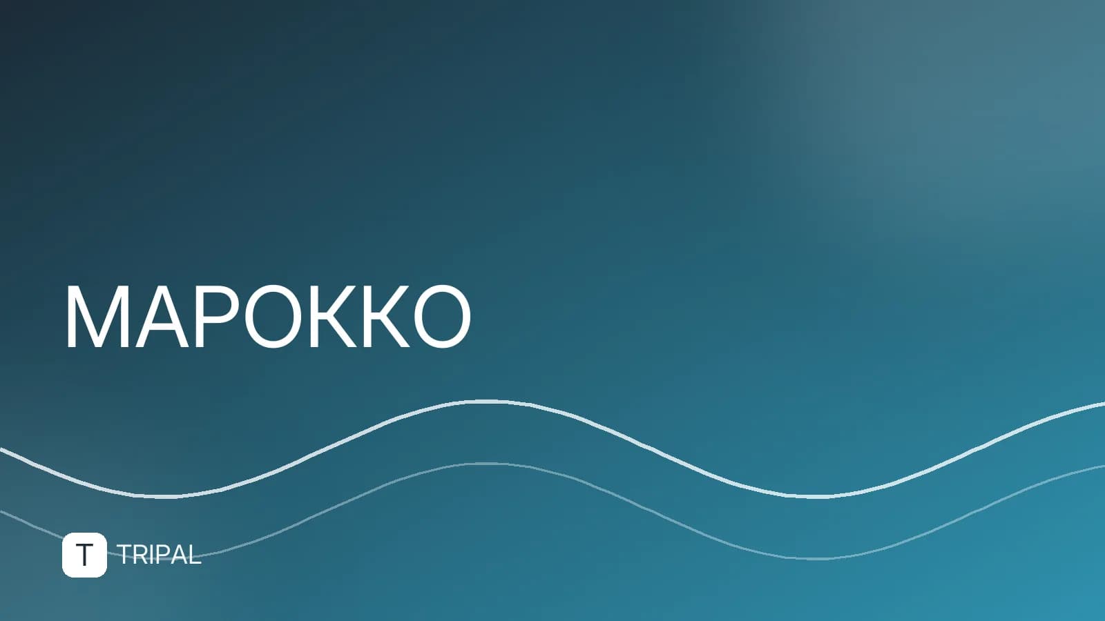 Касабланка в ноябре: погода, куда сходить и что посмотреть