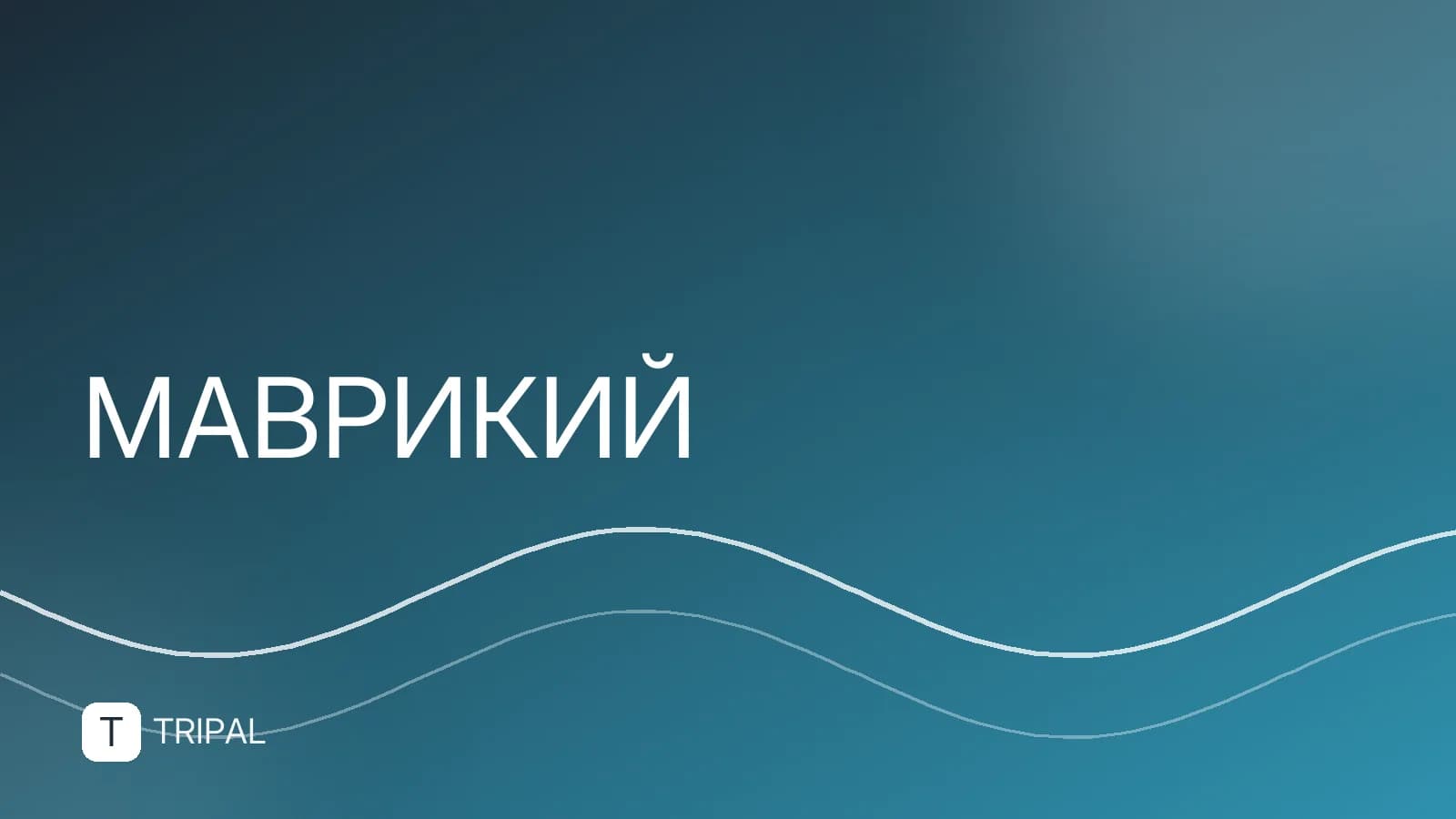 Кашалоты у Маврикия: где и когда их увидеть