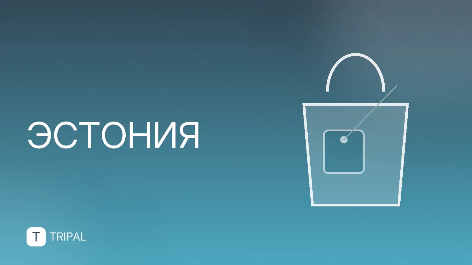 Квартиры в Таллине: где снять жильё и на что обратить внимание