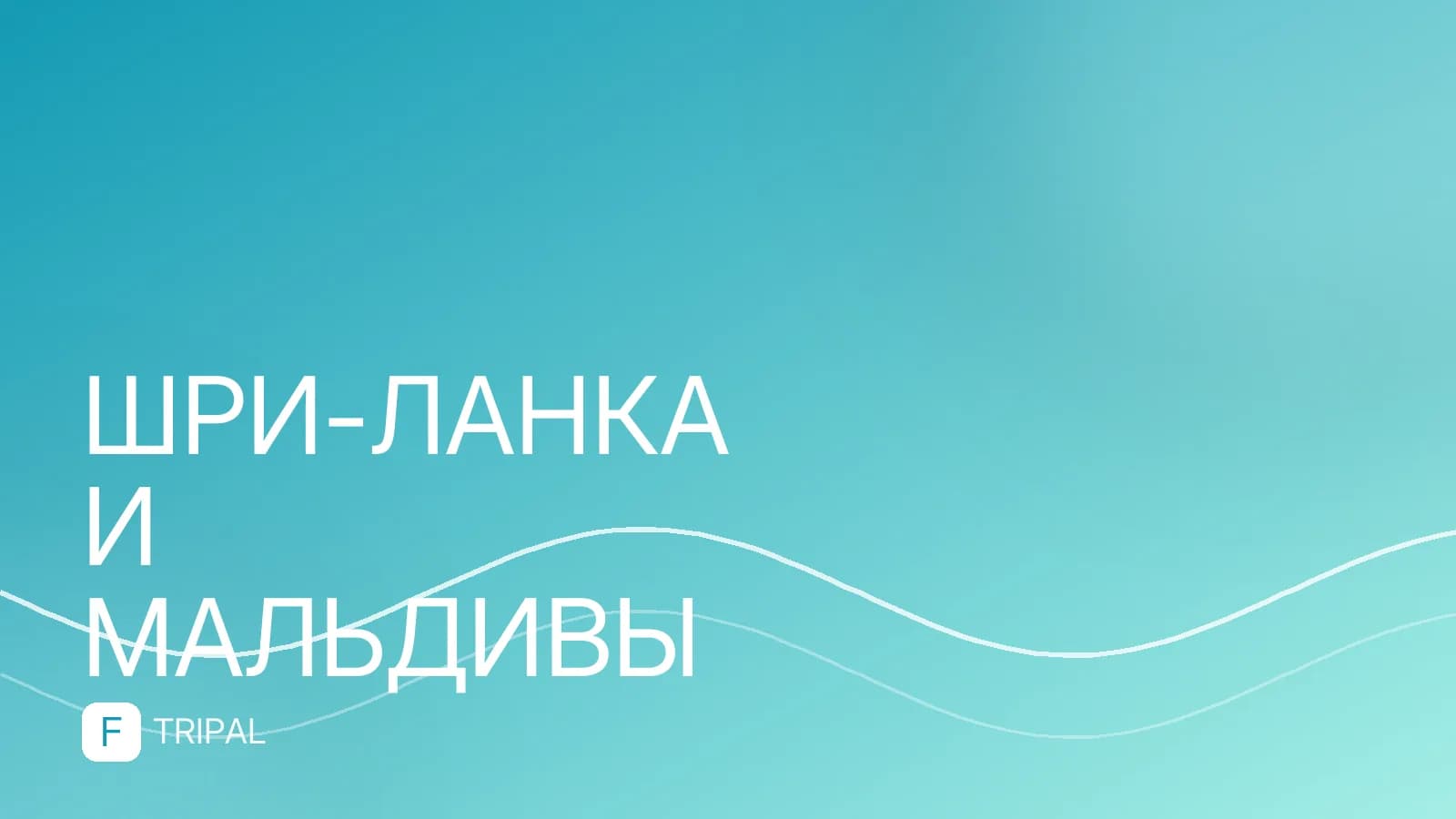 Мальдивы в августе: стоит ли ехать и какой там климат