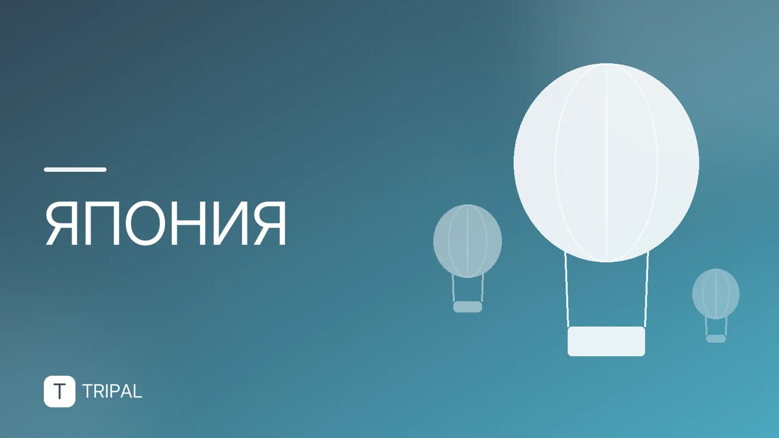 Мультивиза в Японию: условия получения и требования