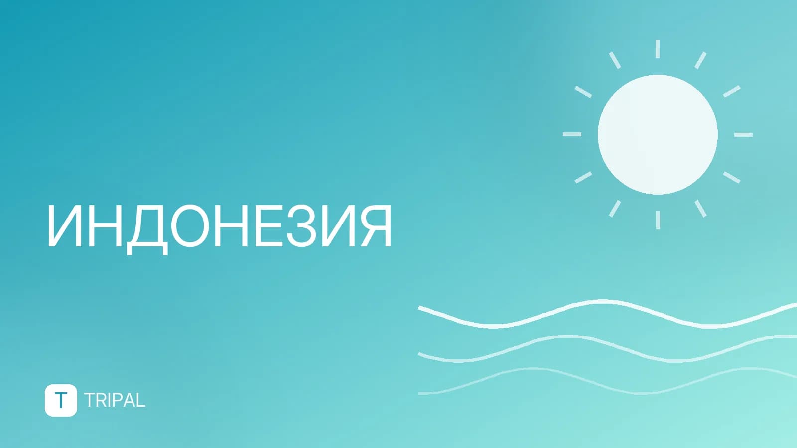 Население Индонезии: место в мире и динамика