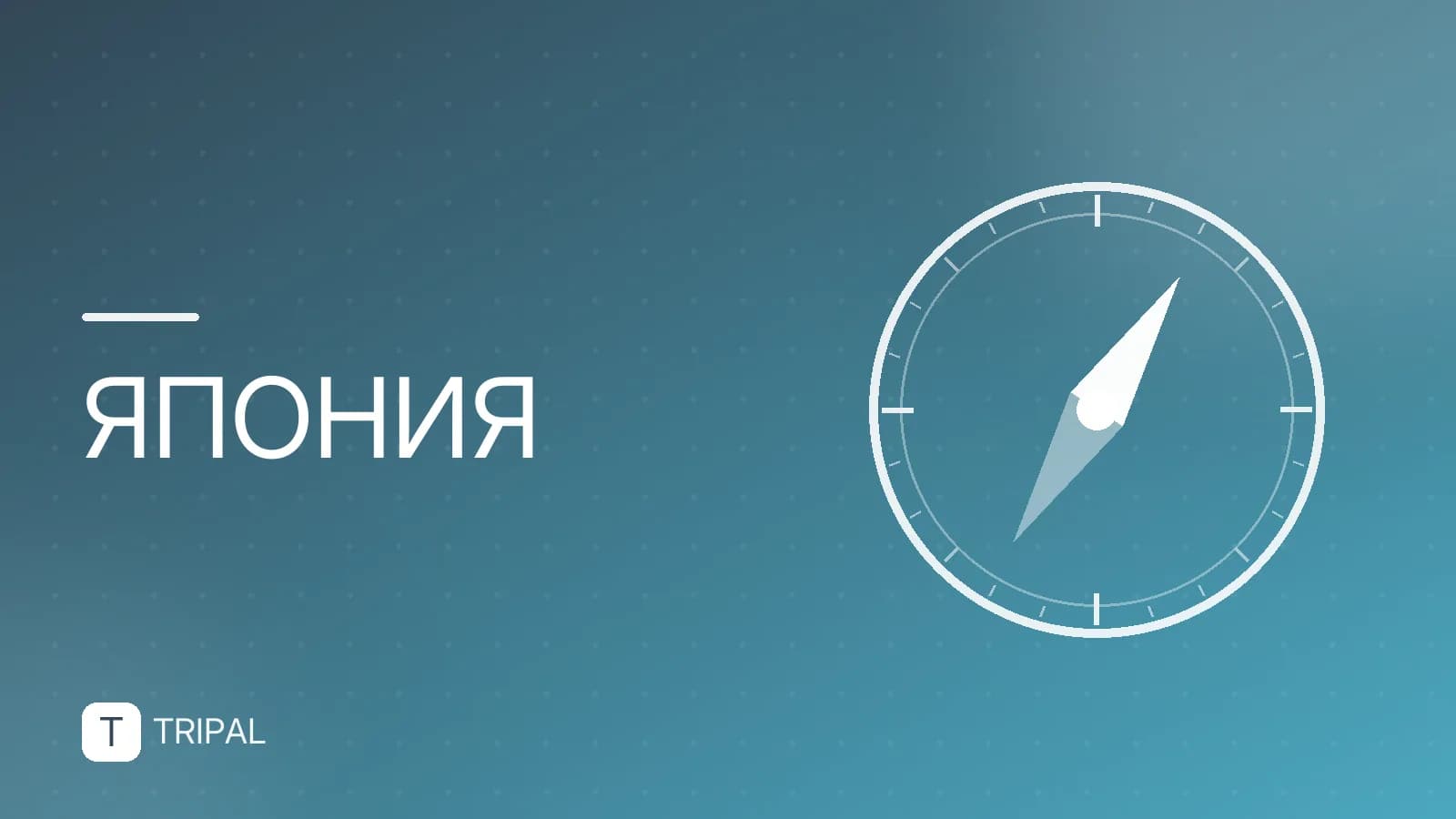 Охота за сокровищами в Токио: лучшие маршруты и локации