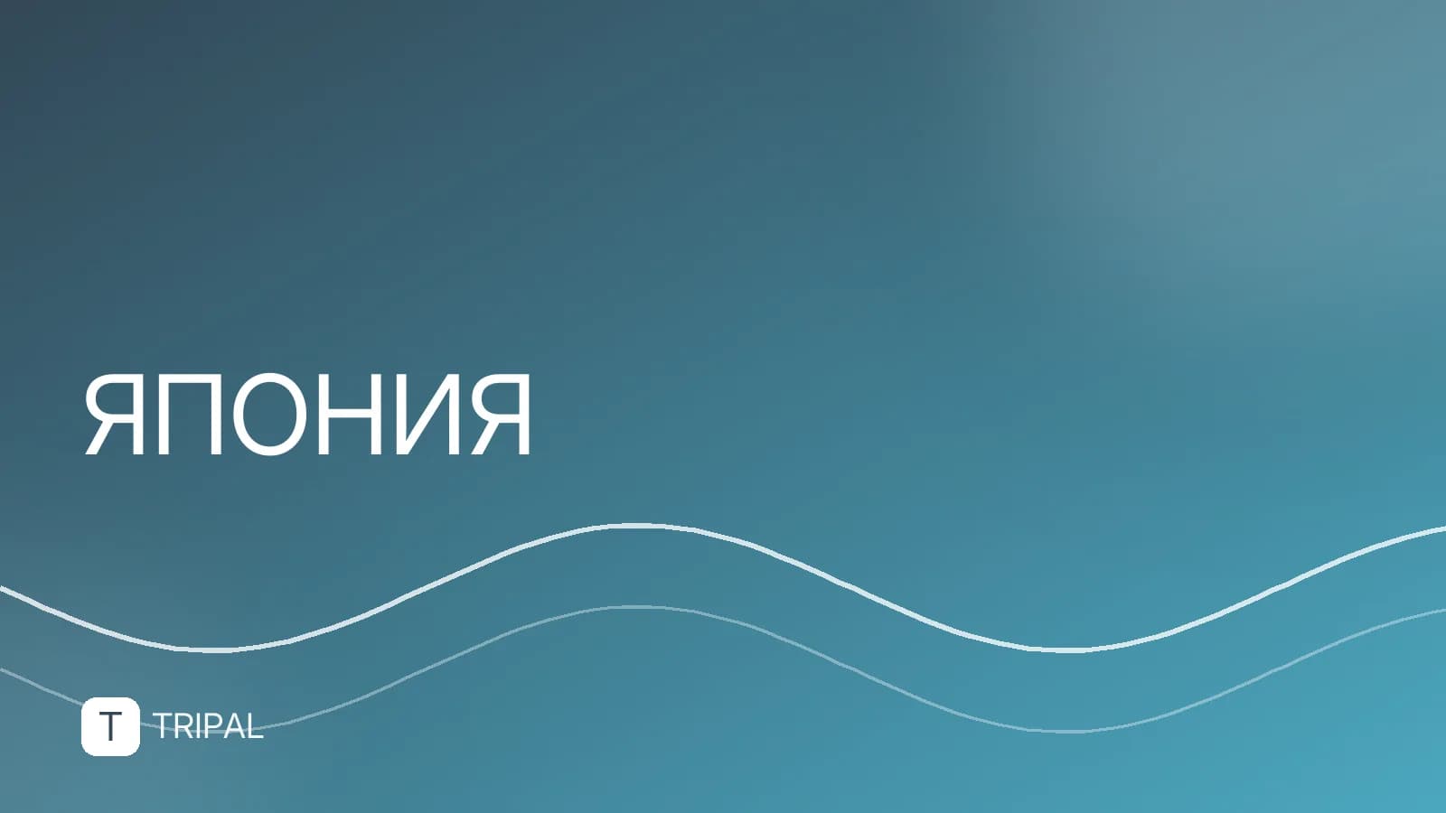 Площадь и население Японии: актуальные данные