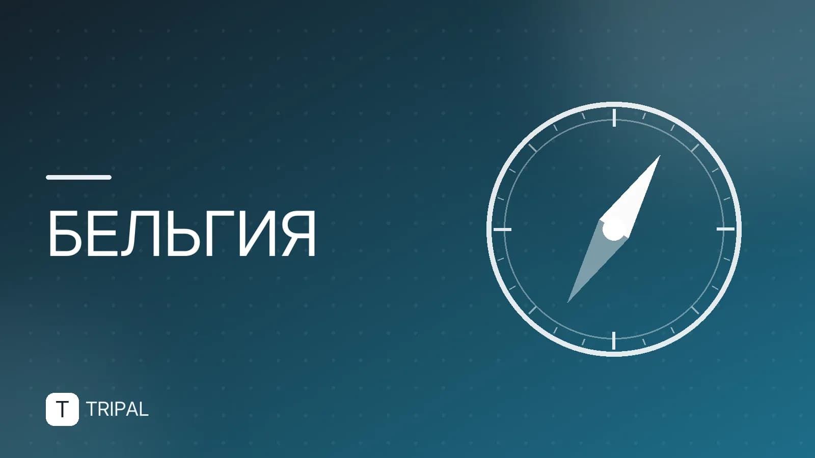 С какими странами граничит Бельгия: карта и соседи