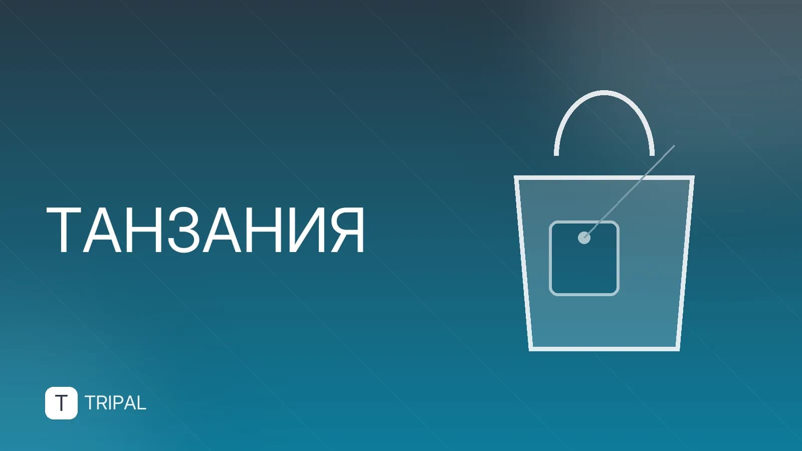 Сафари-парк в Танзании: лучшие маршруты и животные