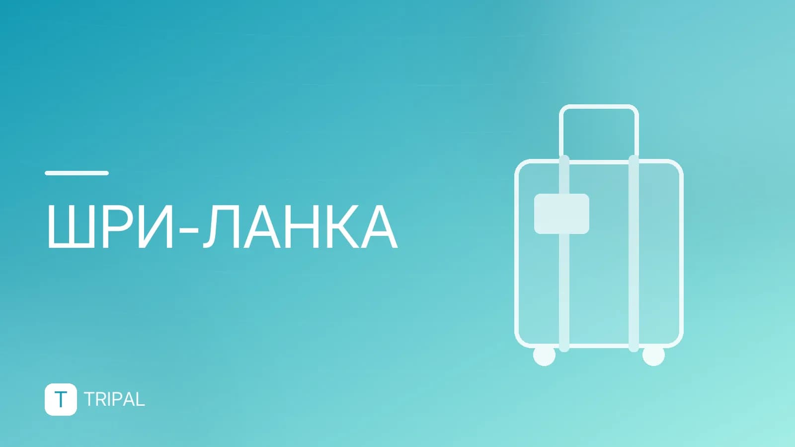 Северная Шри-Ланка: куда поехать и что посмотреть