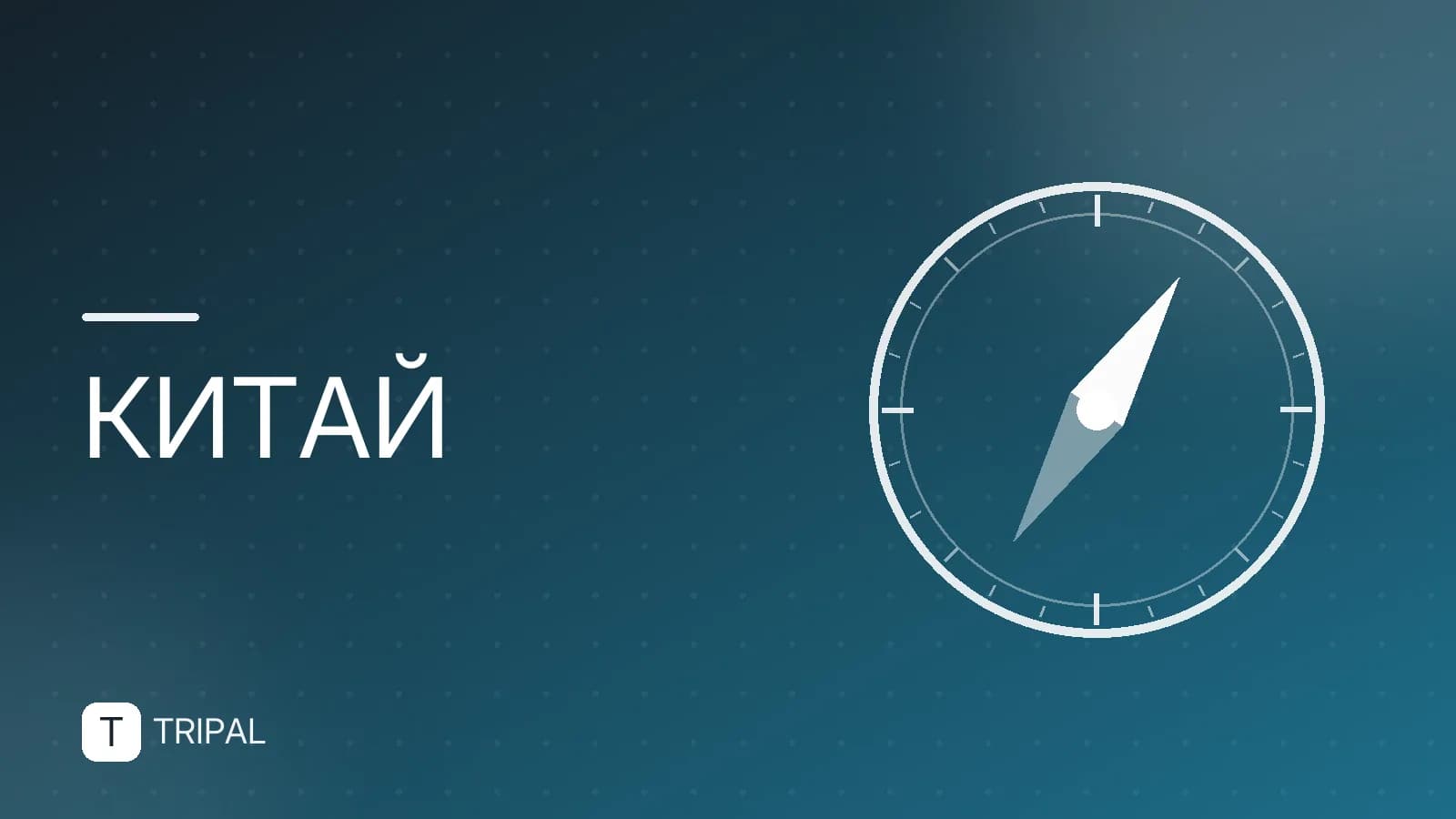 Сколько стоит литр бензина в Китае: актуальные цены