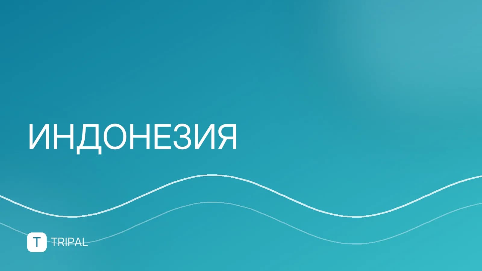 Снять виллу на Бали на месяц: цены и лучшие районы