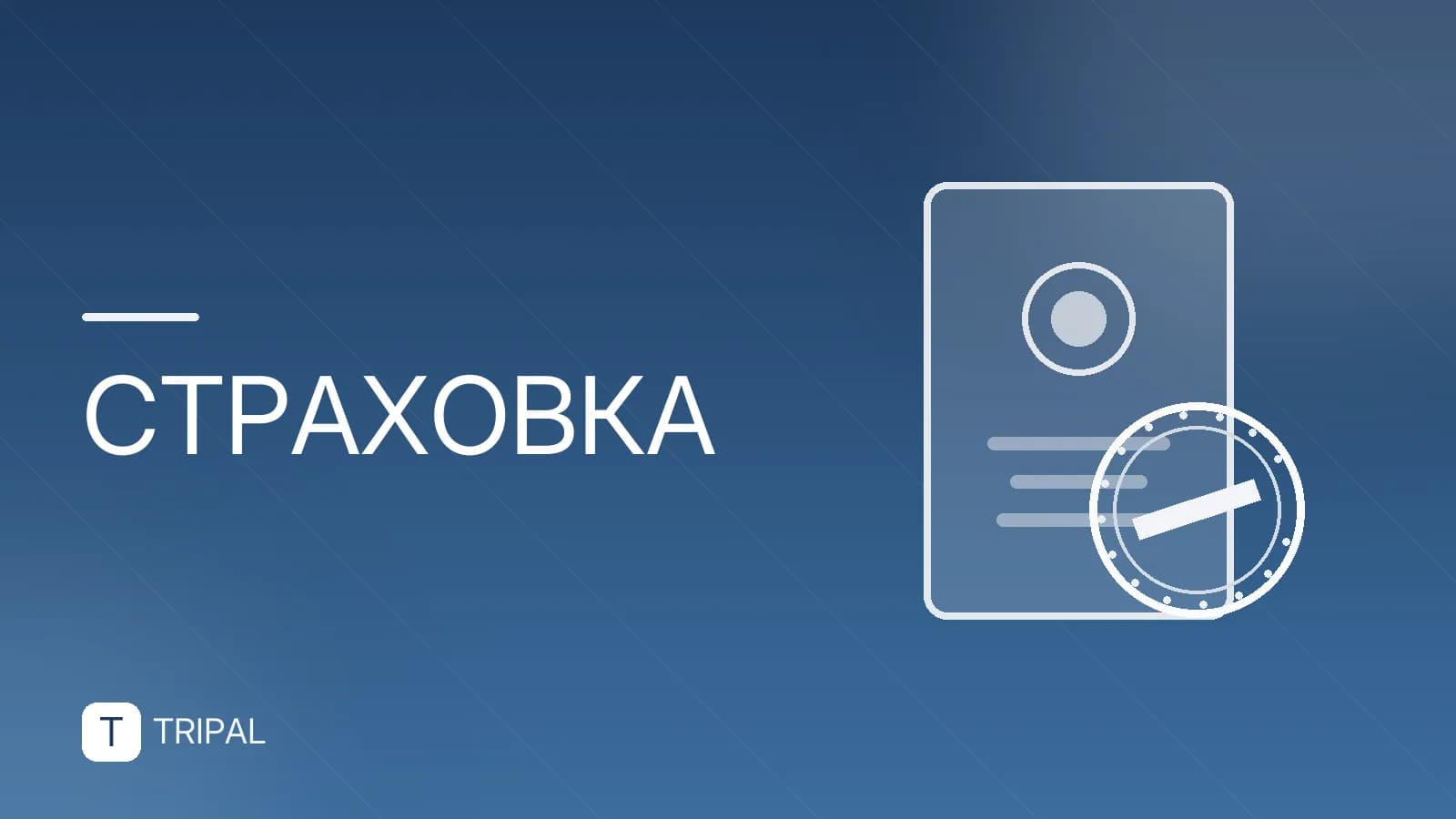Страхование БКС: виды полисов и условия
