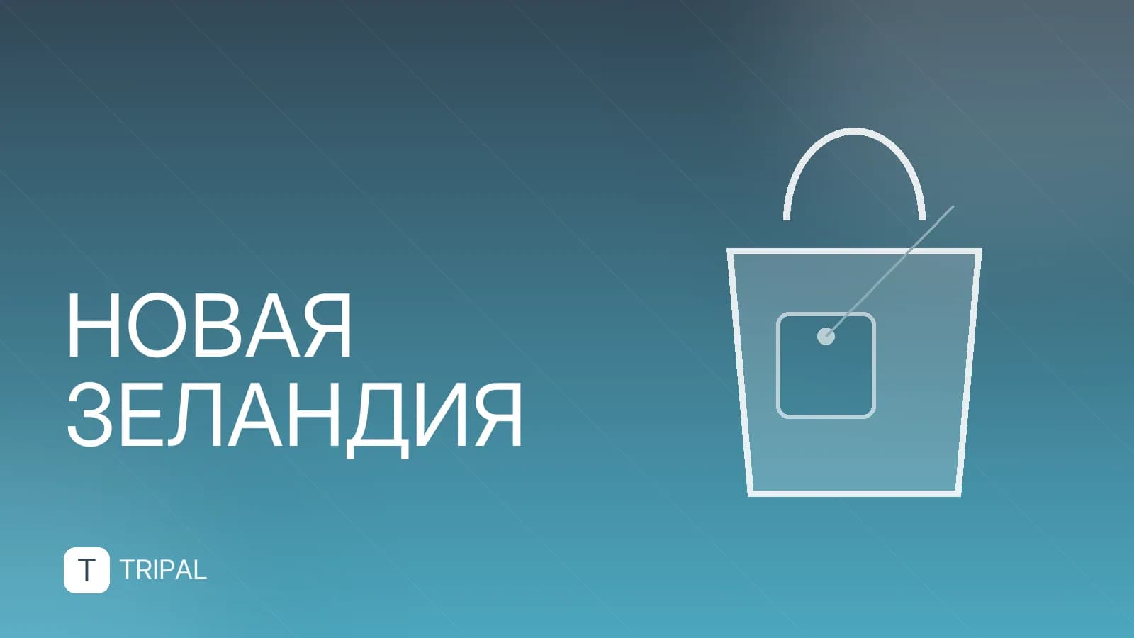 Сухие вина Новой Зеландии: лучшие регионы и сорта