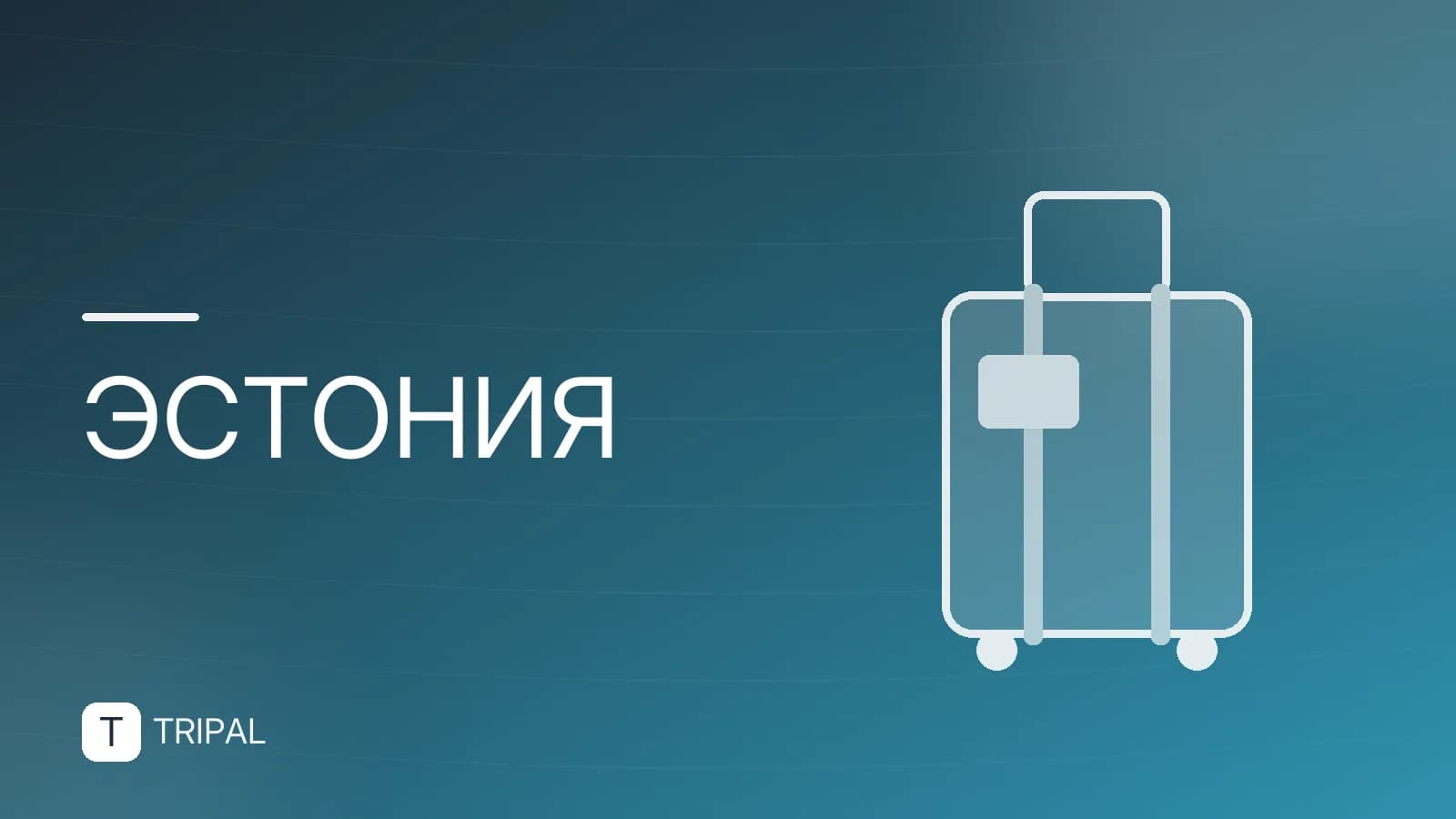 Цены в Эстонии: стоимость еды, жилья и транспорта