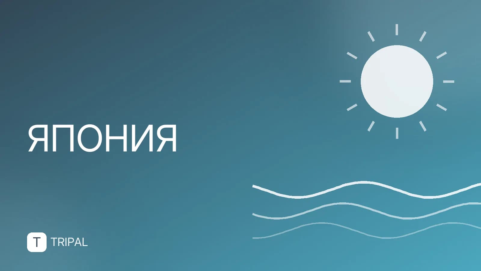 Валюта Японии: название, символ и обозначение