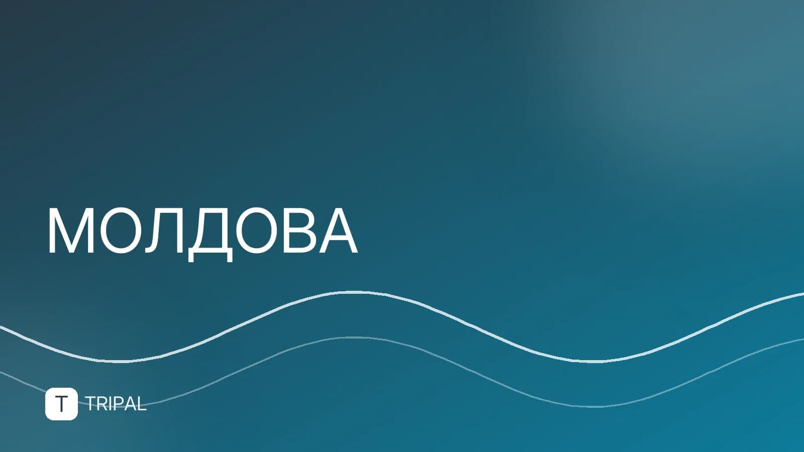 Загранпаспорт Молдовы: виды, сроки и как получить