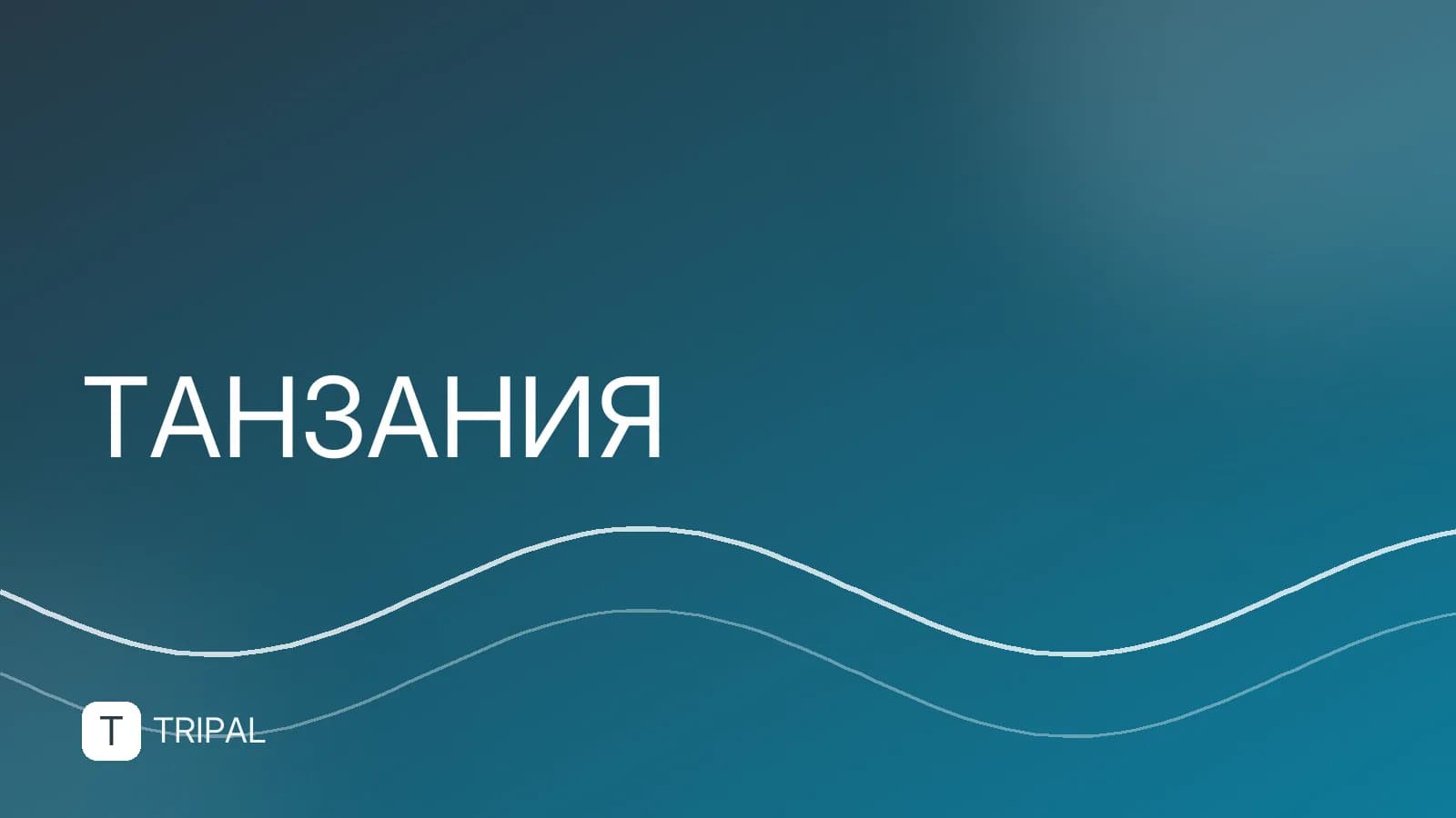 Занзибар в марте: погода, пляжи и нюансы отдыха