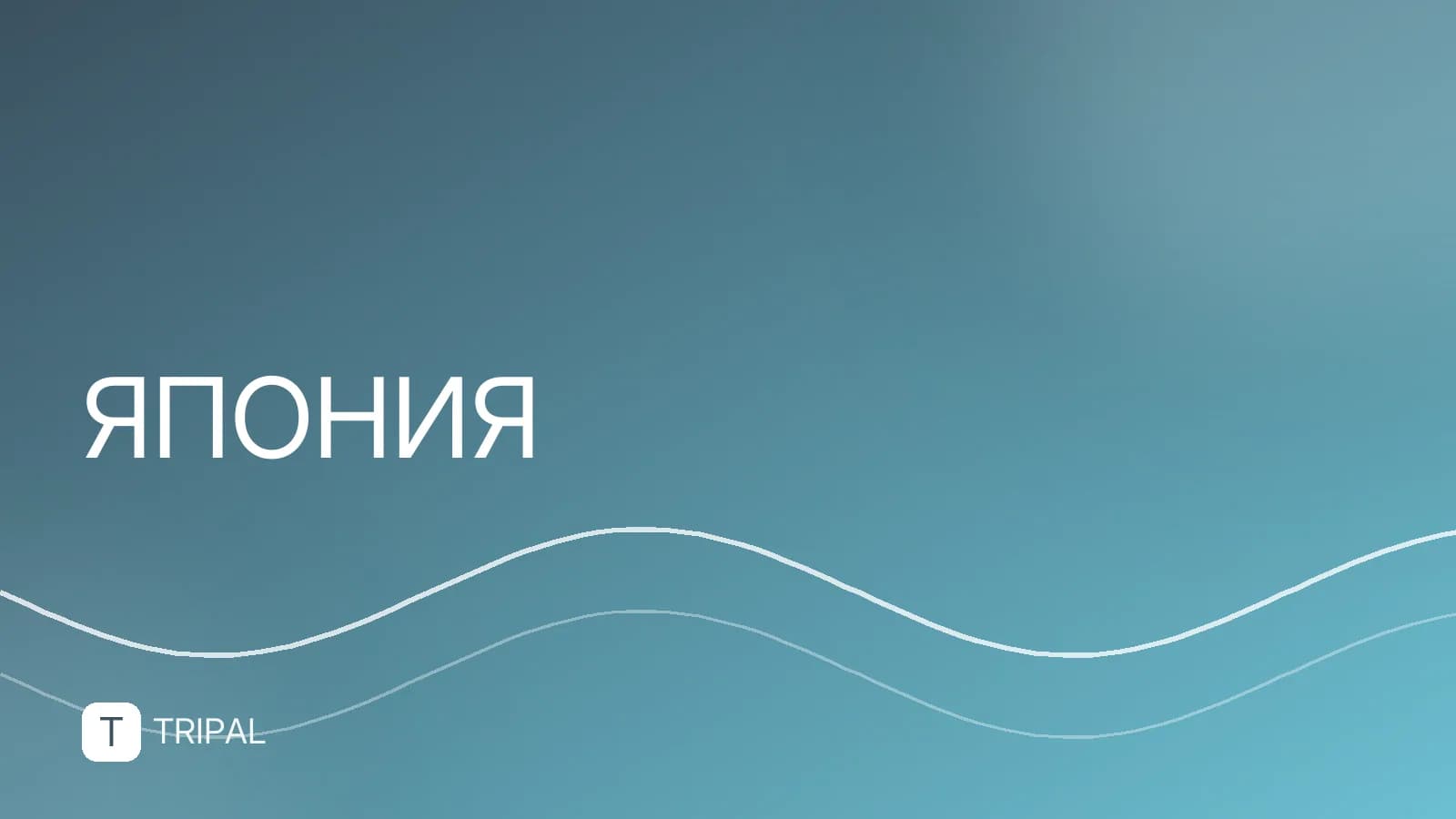 Землетрясение в Токио: что делать и как действовать