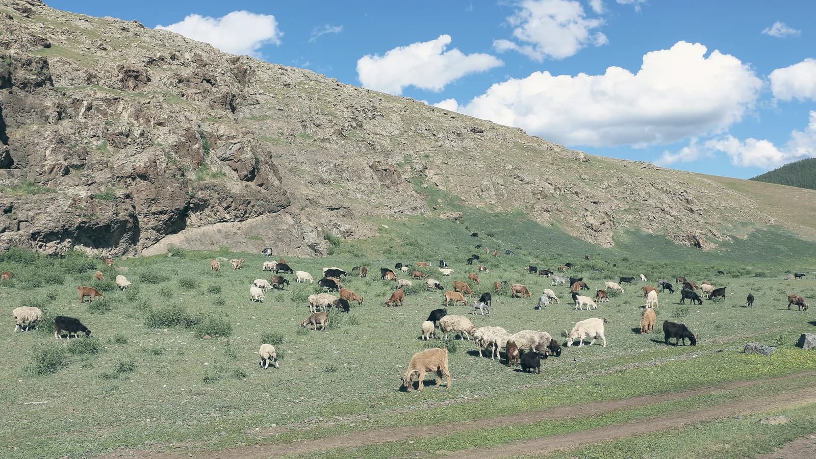 Погода в Ханкоя (Ханхэ), Монголия: климат и сезоны