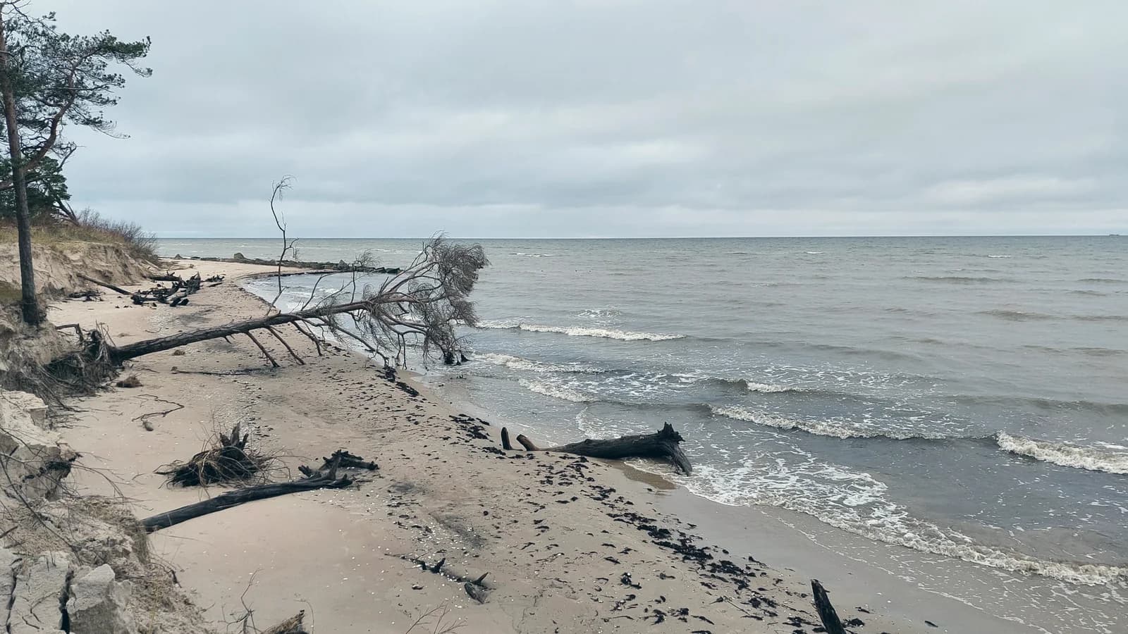 Погода в Латвии: климат по сезонам и что брать с собой