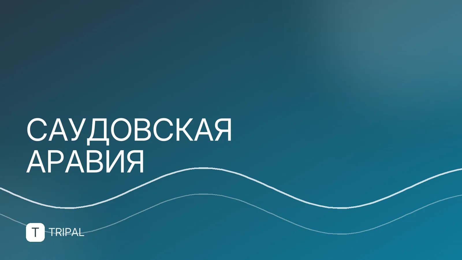 Аэропорты Саудовской Аравии: список и информация