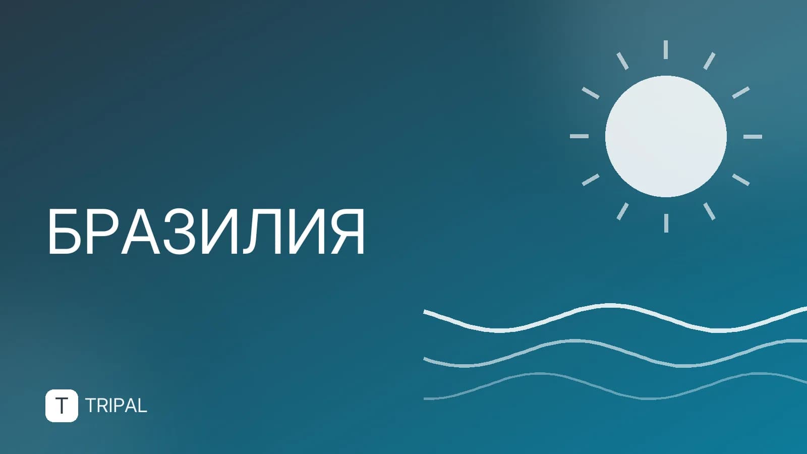 Амазонка в Бразилии: маршрут, экскурсии и советы