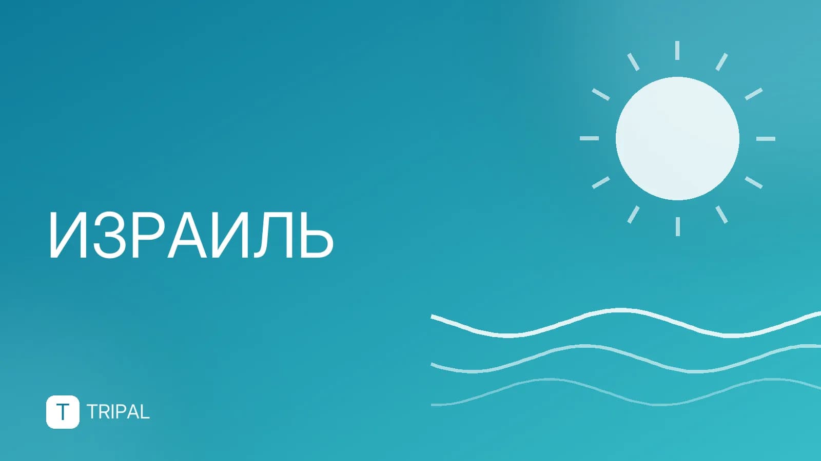 Аренда авто в Израиле: цены, документы и нюансы