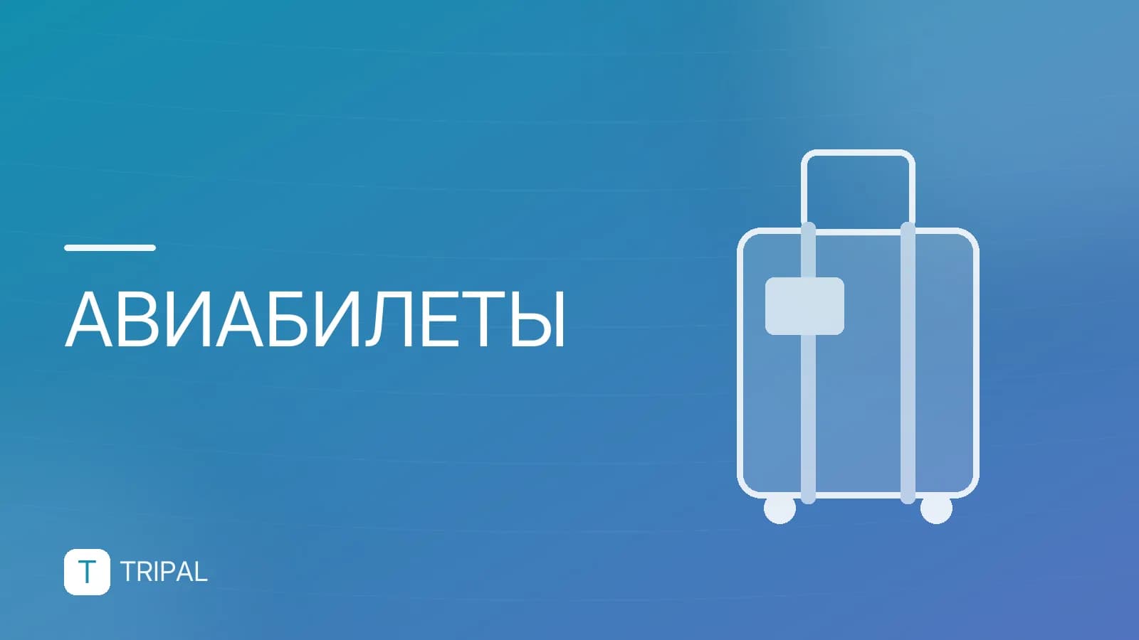 Авиабилеты Москва — Самарканд: как найти дешевые рейсы