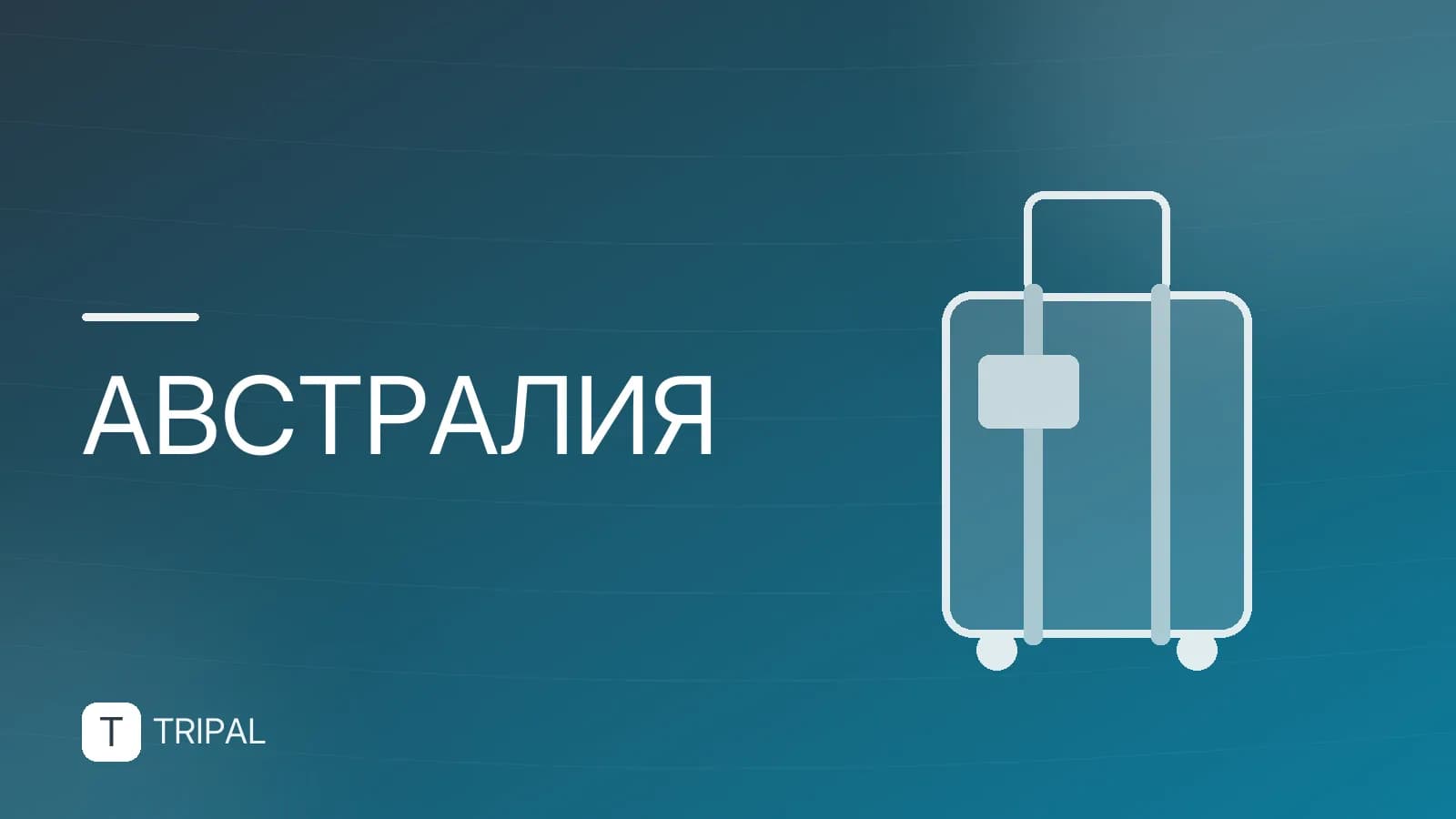 Австралия — самый маленький материк: площадь и факты