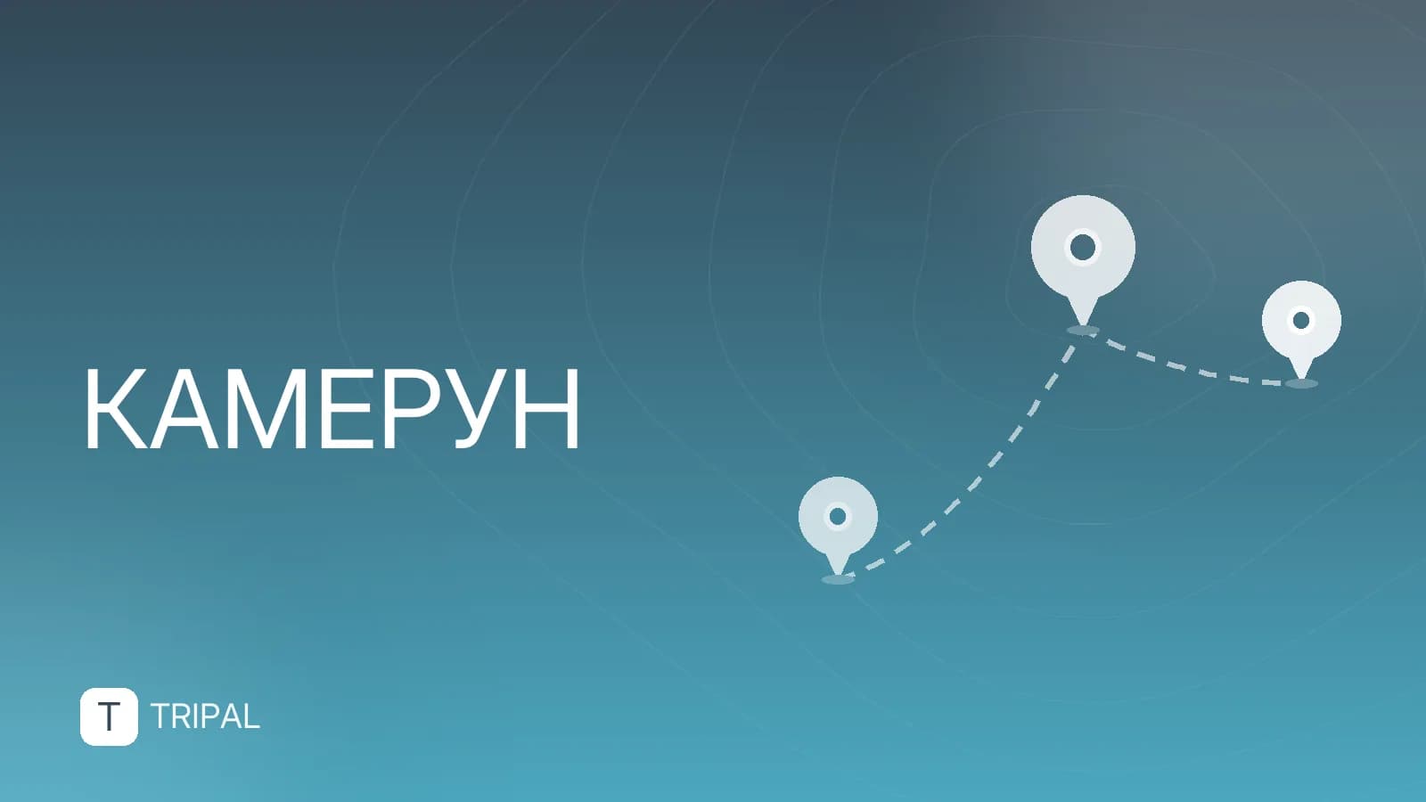 Численность населения Камеруна: актуальные данные