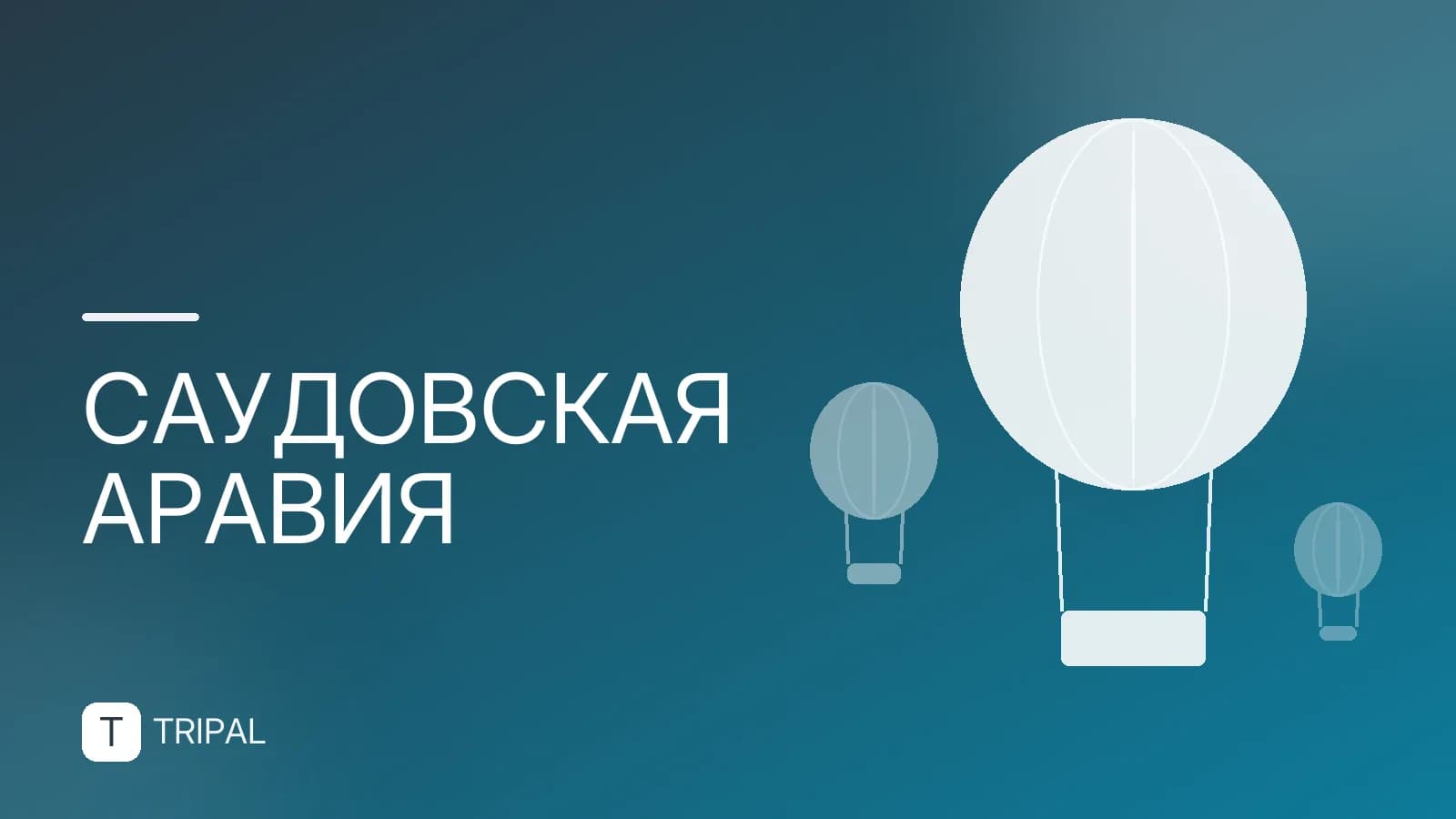 Денежная единица Саудовской Аравии: риал и его курс