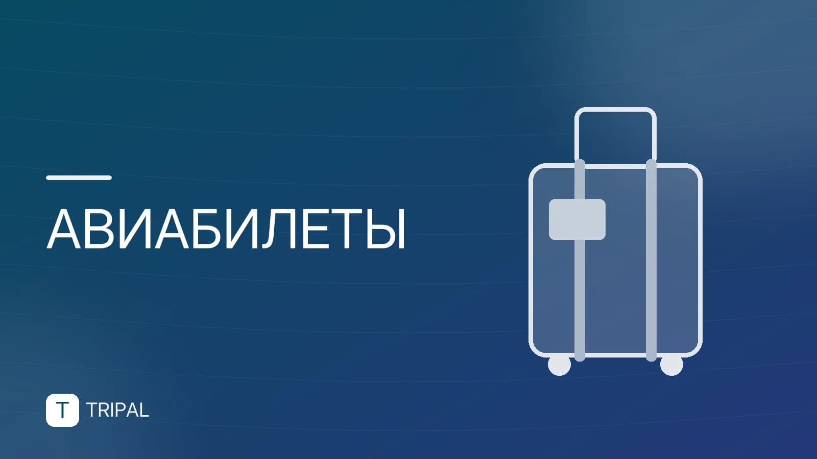 Дешёвые авиабилеты Москва — Ереван: как найти и купить