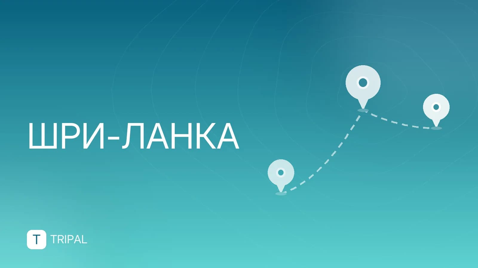 Дорого ли на Шри-Ланке: цены и бюджет поездки