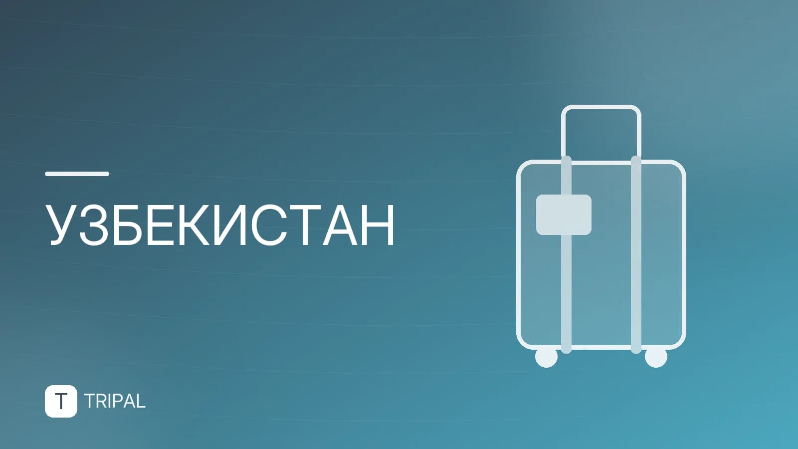 Экскурсии из Ташкента в горы: лучшие маршруты