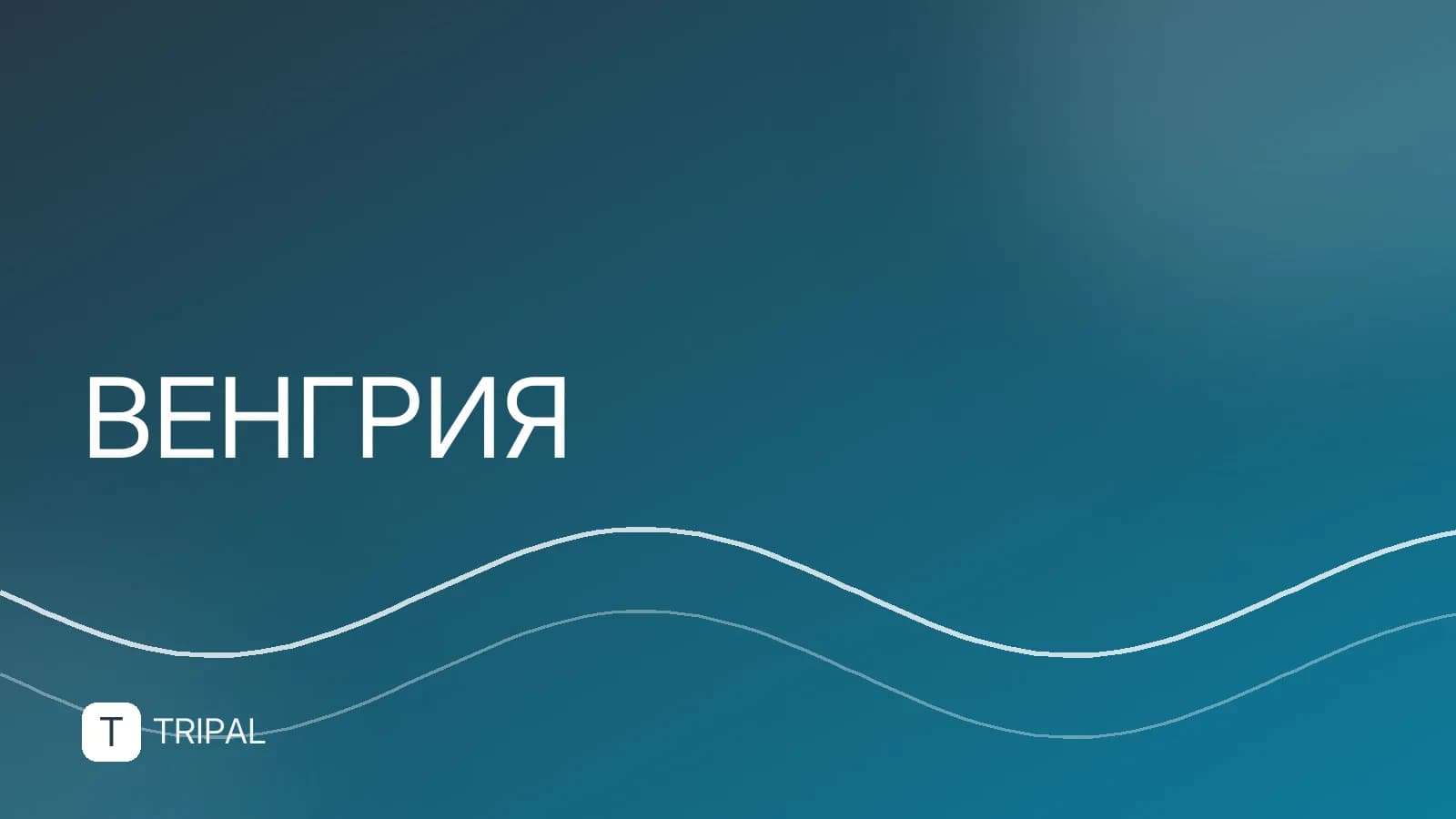 Евро в Венгрии: платят ли евро и какой курс обмена