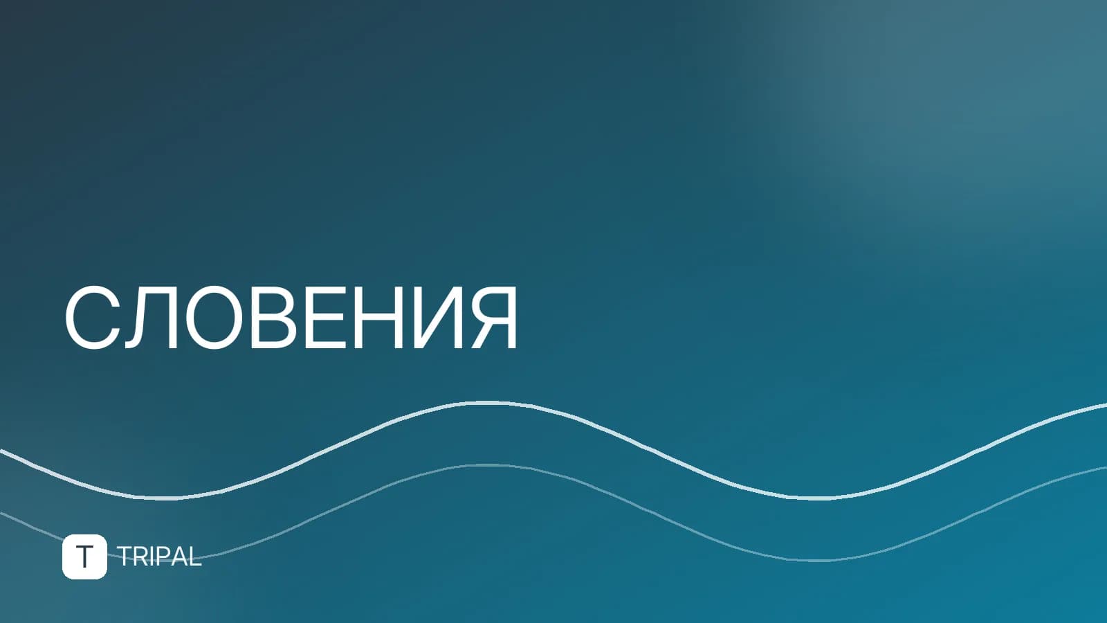 Фото Словении: лучшие виды и места для съемки