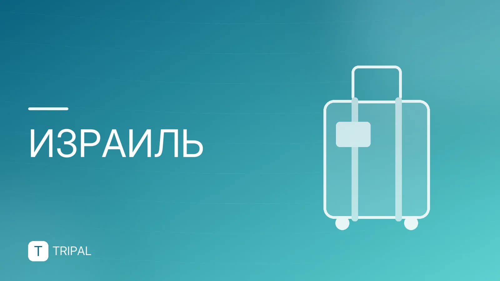 Где купить косметику Израиля: топ брендов и магазинов