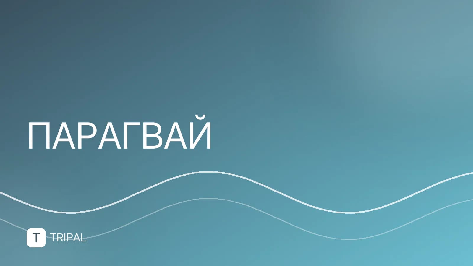 География Парагвая: рельеф, реки и климатические зоны