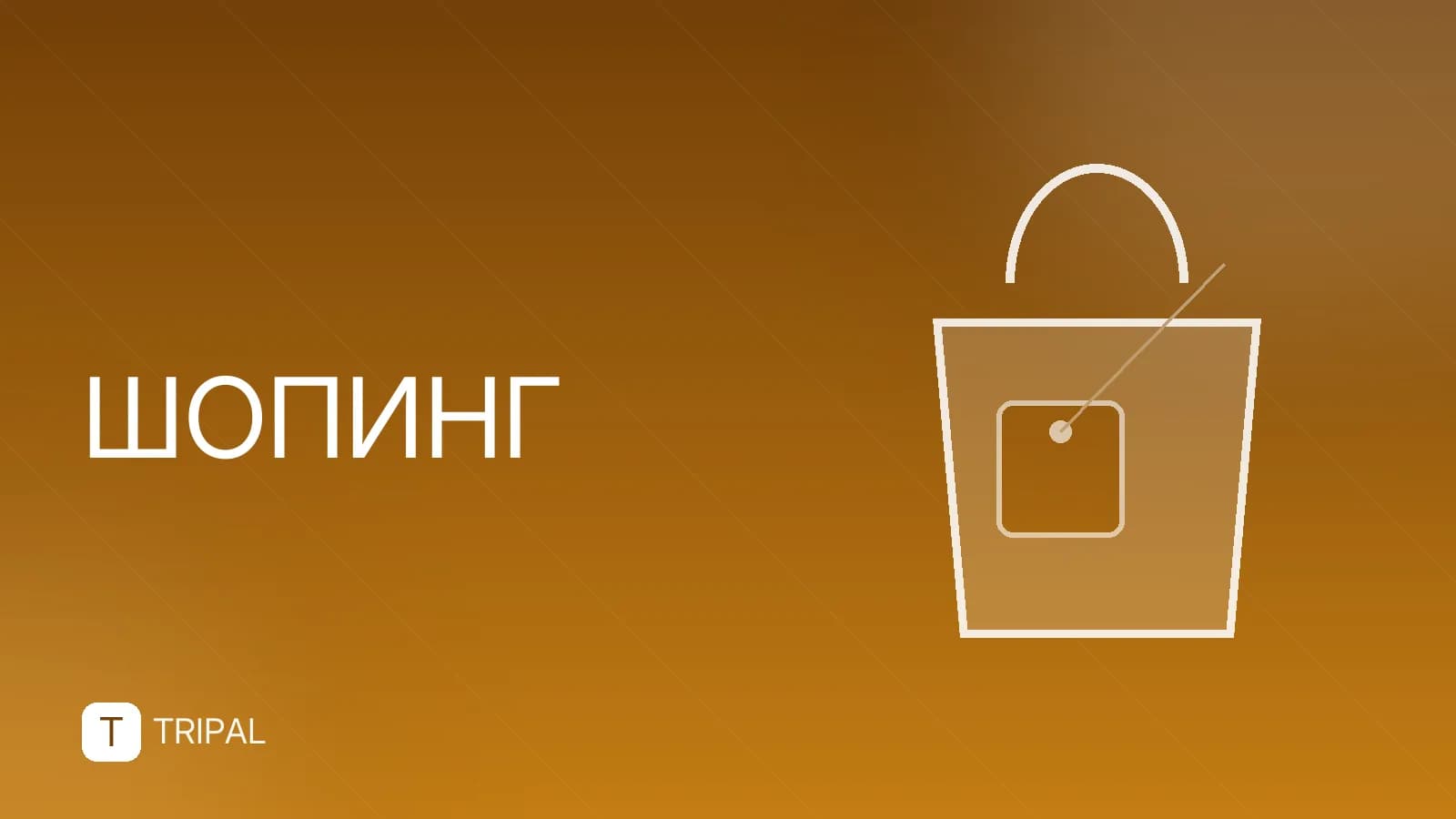 Гидрокостюм для серфинга: как выбрать и надеть