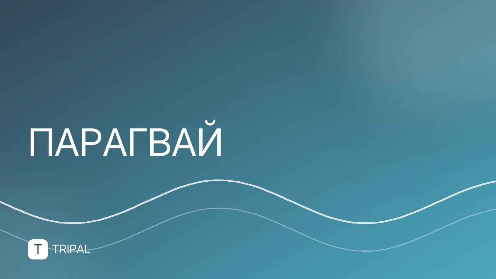 Границы Парагвая: с какими странами граничит