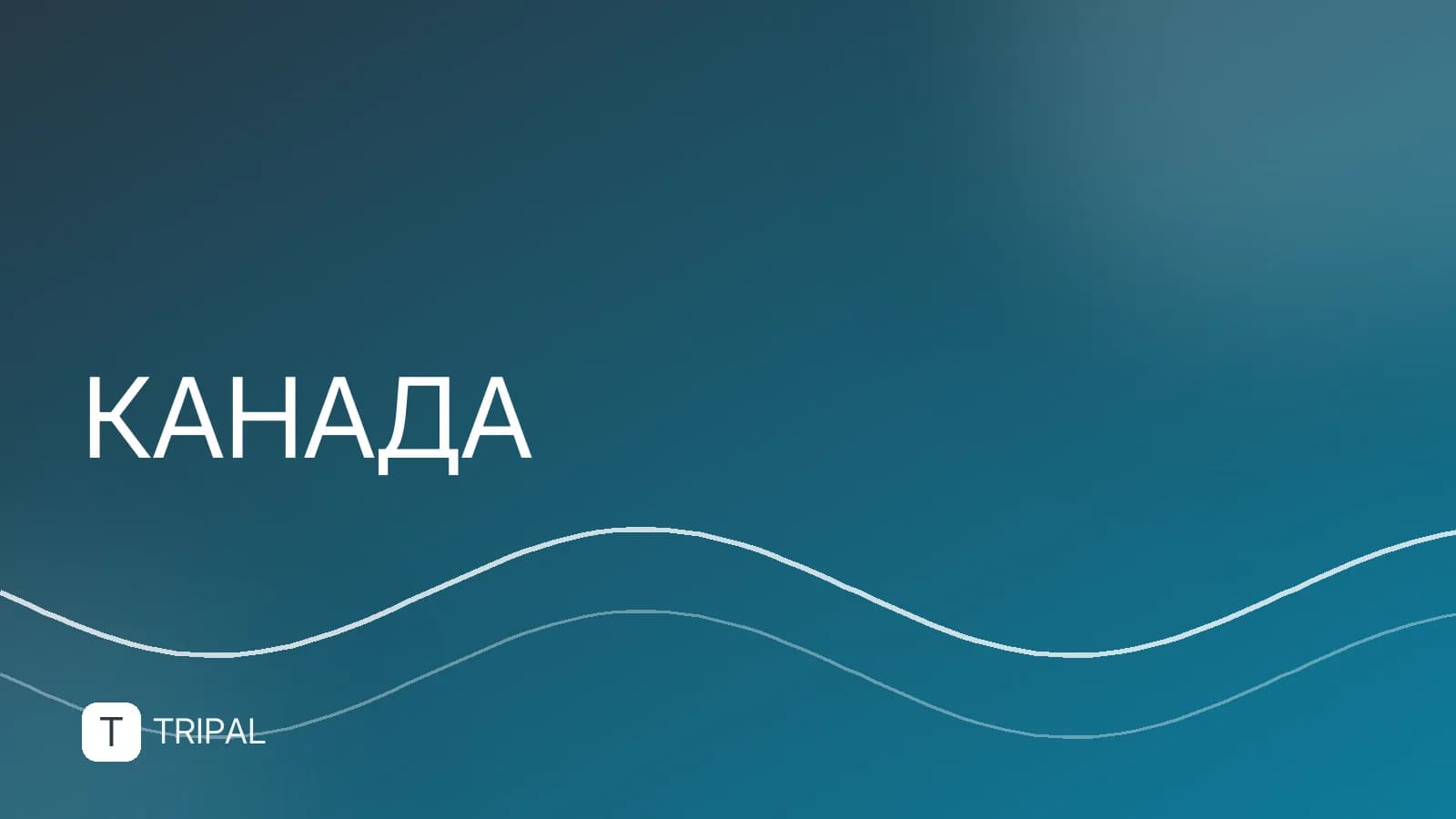 Интересные факты о Канаде: география, культура и природа